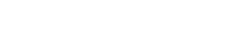 Ventura — Global Sales Partner | Vietnamese Quality